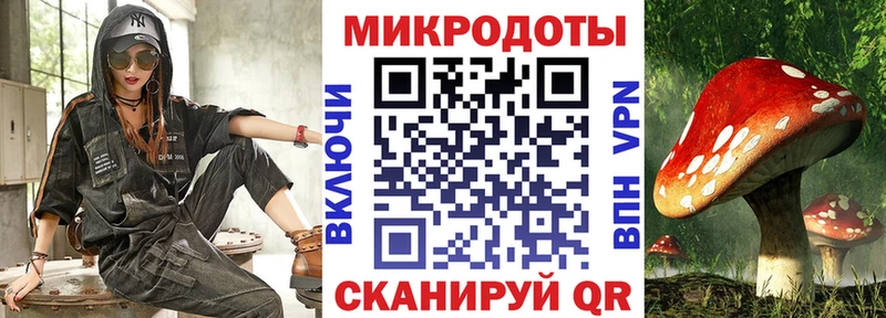 Галлюциногенные грибы Psilocybine cubensis  Лабинск 